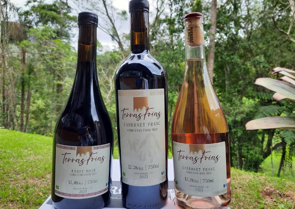 EM NOVA FRIBURGO O VINHO DA “TERRAS FRIAS” 