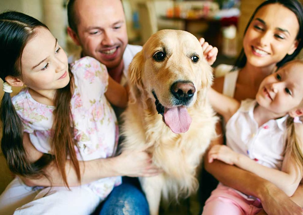 O CÃO ATUAL