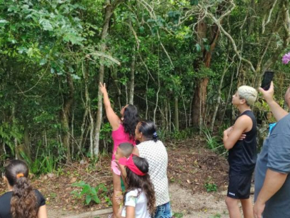 PARQUE NATURAL MUNICIPAL DO MICO-LEÃO-DOURADO, EM CABO FRIO, RECEBE APROXIMADAMENTE 150 VISITANTES EM 2025